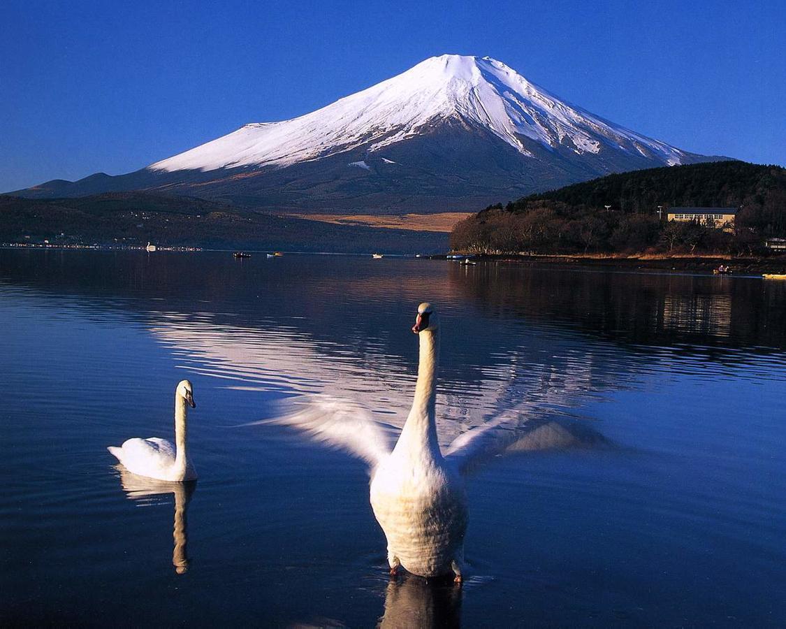 Resort Inn Golf Gotemba (Adults Only) Buitenkant foto